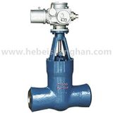 Class 1500, 2000/2500, 3500 Power Station Gate Valves