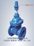 Bare Stem Gate Valve with Bare Stem (Z45X-10/16)