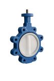 PTFE Coated Lug Type Butterfly Valve