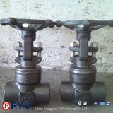 Forged Welded Bonnet Gate Valve