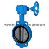 Soft-Sealed Butterfly Valve