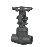 Forged Steel Gate Valve