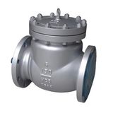 API 6D Pressure Seal Bonnet Swing Check Valve