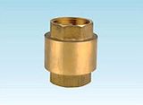 Check Valve (MC-BCV-002)