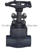 Forged Steel Gate Valve