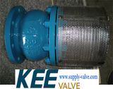 API Foot Valve