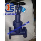 Pn16 Extend Stem Bellow Globe Valve