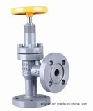 Ammonia Flange Angle Steel Valve