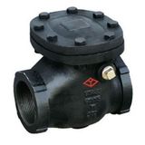 ANSI 125 Screw Type Chekc Valve