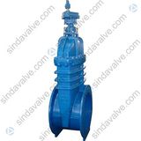 Bs5163 Resilient Seated Gate Valve