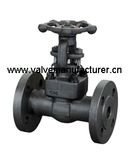 Forged Steel Flange Type Gate Valve (Z41)