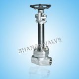 Low Temperature Welded Gate Valve (Type: DZ61Y)