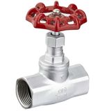 Globe Valve