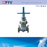 API Wcb Cast Steel Gate Valve Manual Operated