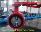 Demco Butterfly Valve (WDS)