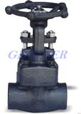 API Welded Forged Steel Globe Valve