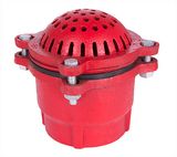 Strainer Cast Iron Thread Foot Valve