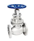 API Globe Valve