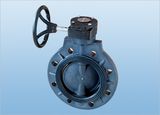 FRPP Butterfly Valve/FRPP Worm-Gear Type Butterfly Valve