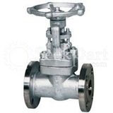 Stainless Steel Gate Valve