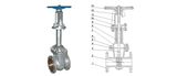 ANSI Bellow Gate Valve (AWZ41)