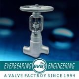 Globe Valve (GBV-045-G)