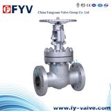 API Cast Iron Gate Valves Manual Valve