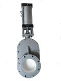 Pneumatic Ceramic Double Disc Gate Valve