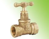 Globe Valve (GRS-G033AAA)