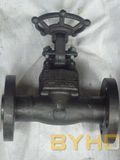 API 602 Forged Steel Flanged Gate Valve