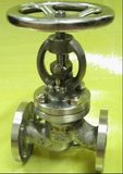 Titanium Valve