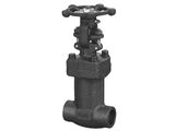 Cryogenic Globe Valve