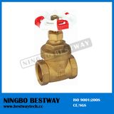 Forged Brass Stainless Steel Gate Valve Price (BW-G03)