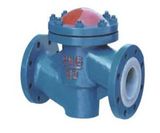 Teflon-Lining Check Valve