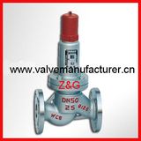 Back-Flow Safety Relief Valve