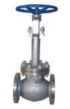 Cyogenic Globe Valve