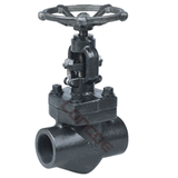 Forged Steel Globe Valve