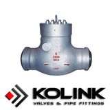 Pressure Seal Check Valve