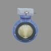 Pneumatic Butterfly Valve