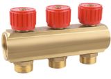 Brass Manifold (WSD-9003)