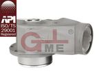 Aluminum Oil and Gas Vapor Vent Valve (C802A-80)