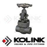 Forged Steel Globe Valve