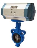 A Pneumatic Actuator(ST Series sto75)
