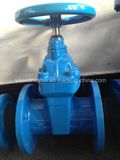 Non-Rising Stem Resilient Seated Gate Valve