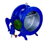 Butterfly Type Non-Slam Check Valve, Butterfly Type Check Valve, Check Valve, Globe Valve