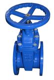 Resilient Seated Gate Valve