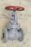 API Globe Valve