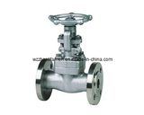 Forged Steel Gate Valve (Flange)