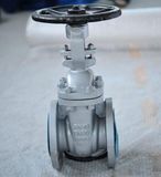 DIN F4/F5 Series Rising Stem Gate Valves (Z41H)