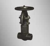 Forged Steel Gate Valve